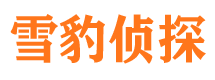 红山市婚姻出轨调查